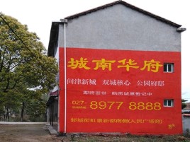 那坡百分之90的人都不了解的农村墙体广告