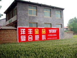 那坡如何让墙体广告展现最大化效果
