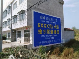 那坡墙体广告质量分析