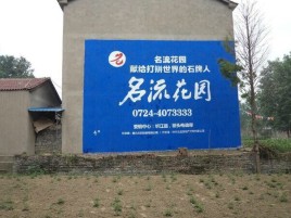 那坡农村墙体广告的长尾效应