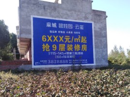 那坡墙体广告的好处