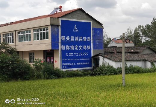 那坡决定墙体广告价格的因素有哪些？